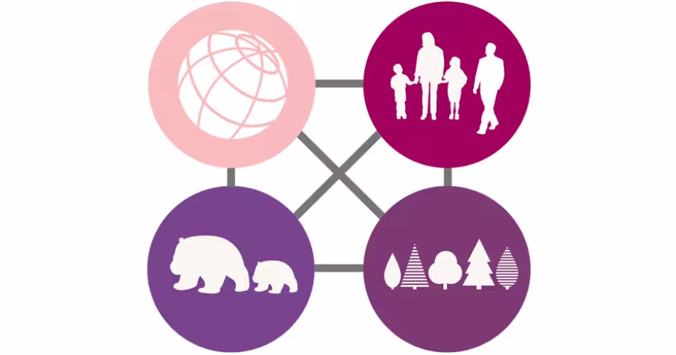 Infographique des interactions du WWF avec les différents acteurs