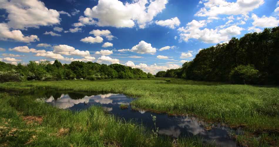 Surnommée l'« Amazone de l’Europe », la réserve de biosphère Mur-Drave-Danube devient la plus large zone fluviale protégée du continent.