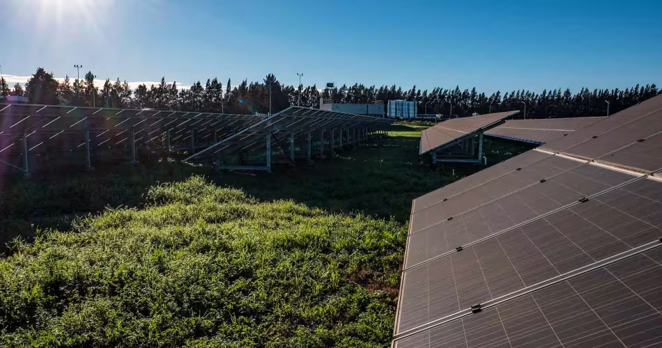 Panneaux solaires