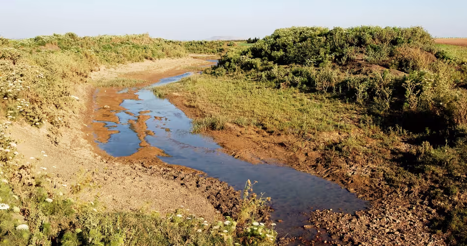 Rivière asséchée dans le massif de l'Atlas (Maroc)