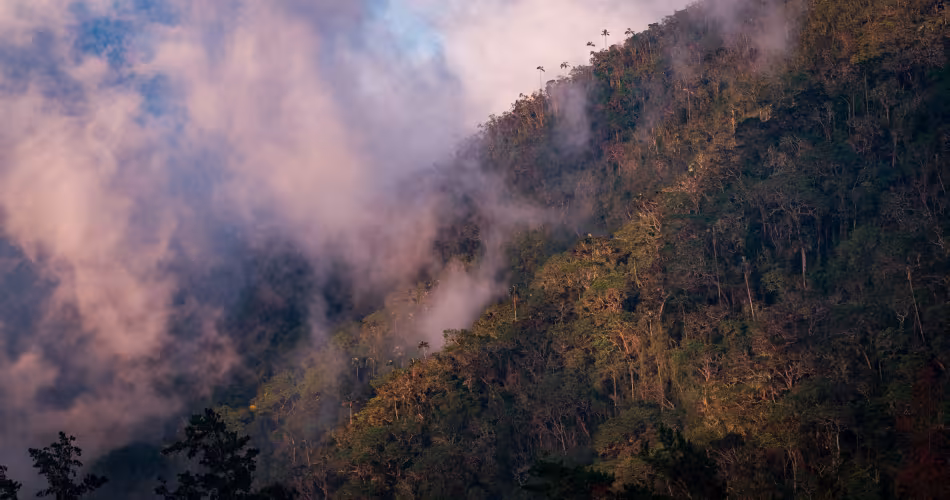 Des montagnes de la Sierra Nevada de Santa Marta en Colombie