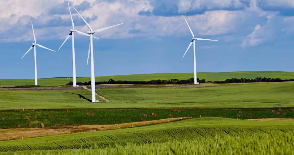 Des éoliennes dans un champ