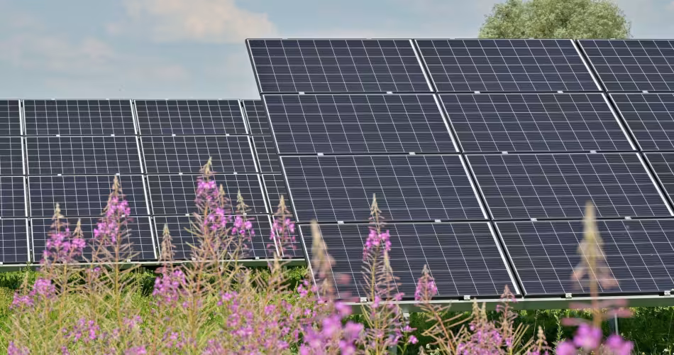 Panneaux solaires dans un champ