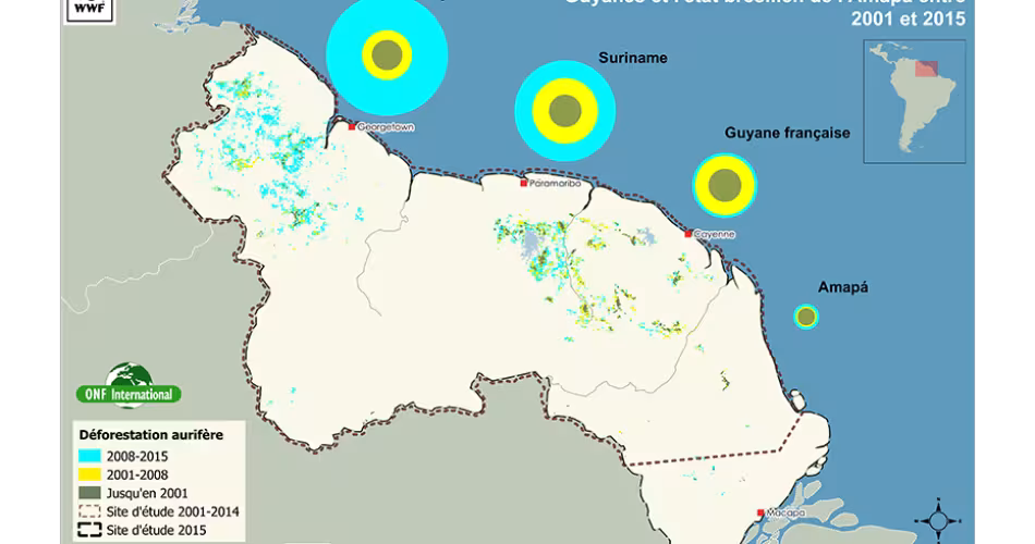 Carte déforestation due à l'exploitation aurifère sur le plateau des Guyanes