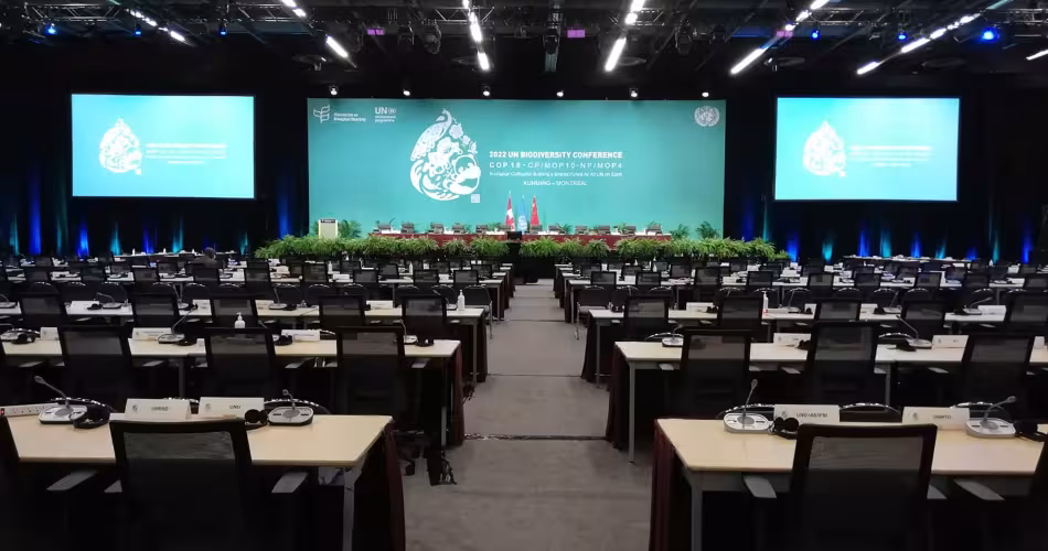 COP15