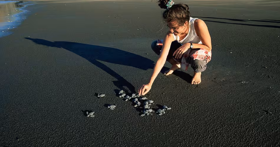 Jeune fille avec des bébés tortues 