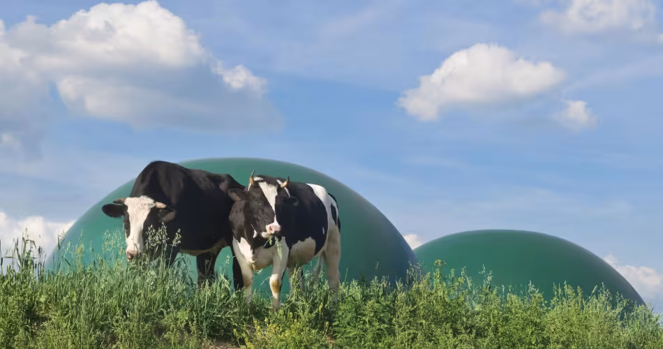 Réfléchir à la durabilité de la méthanisation agricole, c'est la mission que se sont donnée le WWF France et GRDF.