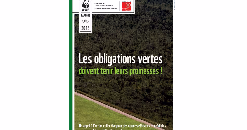 <a href="http://awsassets.wwfffr.panda.org/downloads/20160610_synthese_green_bonds.pdf">Téléchargez le rapport "Les obligations vertes doivent tenir leurs promesses !"</a>