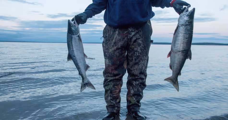 Pêche de subsistance, baie de Bristol, Alaska (Etats-Unis)