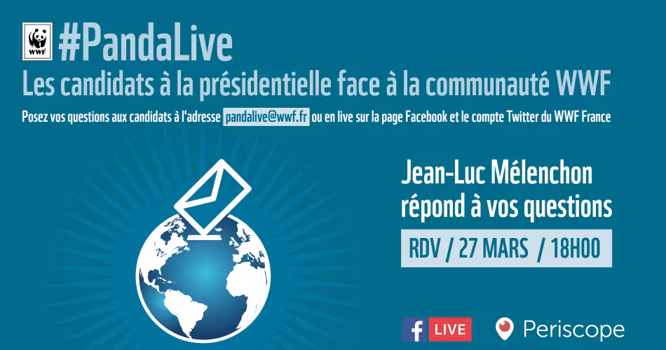 Effet Panda Jean Luc Mélenchon