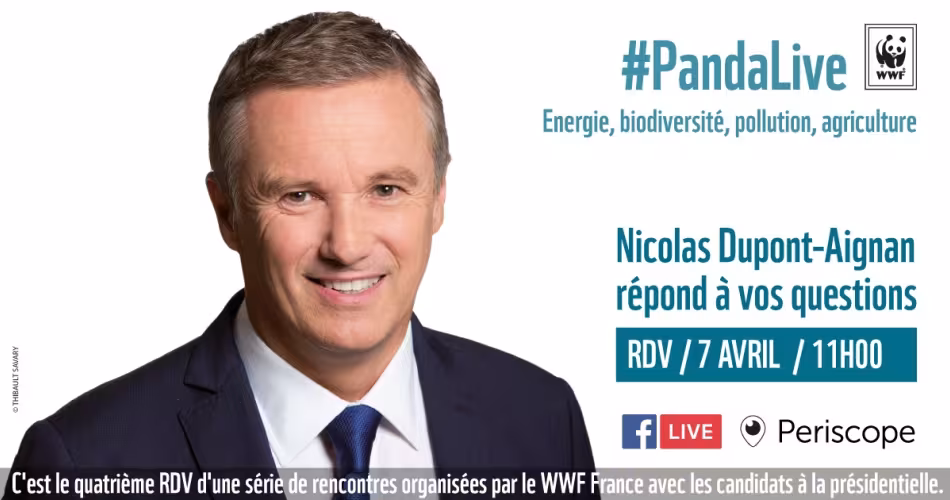Pandalive - Nicolas Dupont Aignan