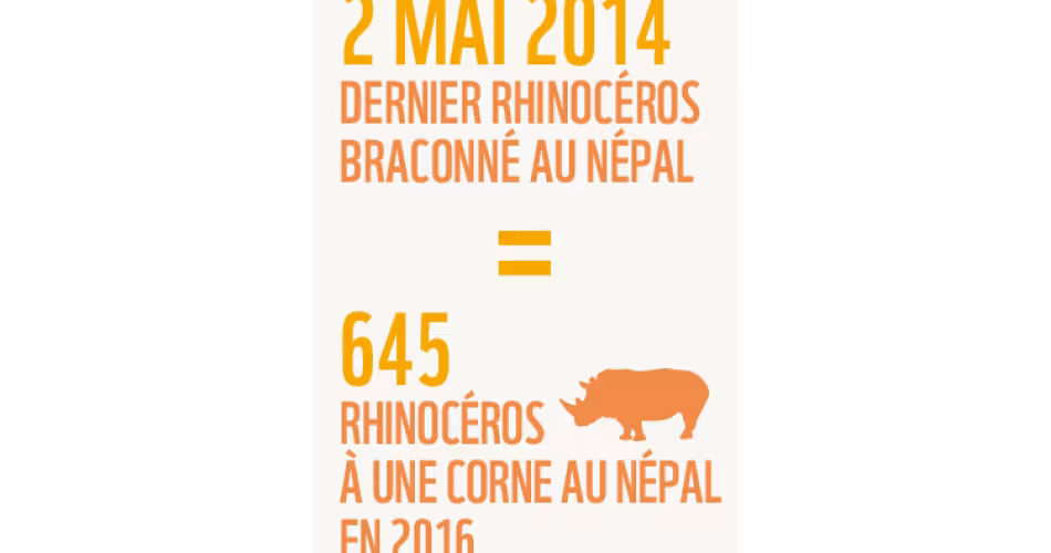 Statistiques nombre de rhinocéros braconnés au Népal 