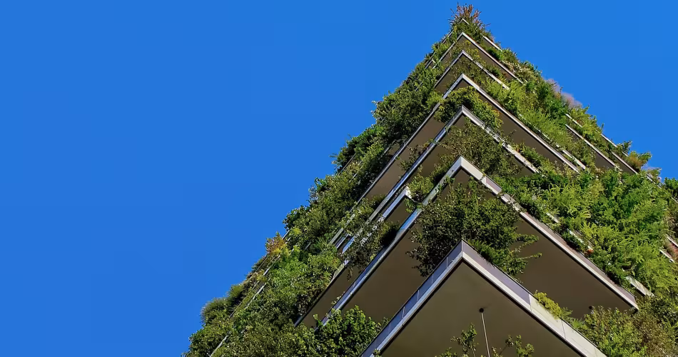 Un immeuble végétalisé