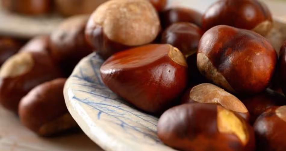 Recette de tajine aux châtaignes