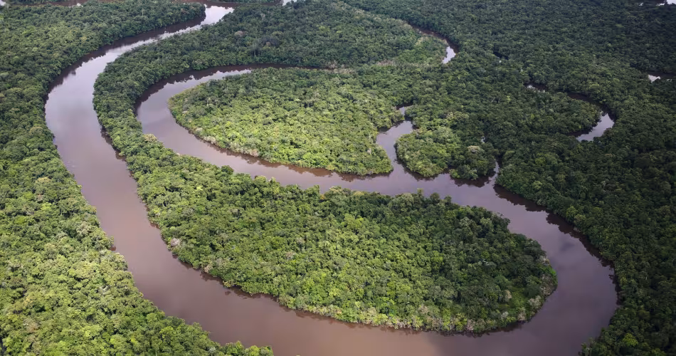 Forêt amazonienne, vue aérienne 