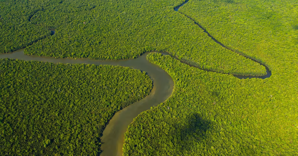 Vue aérienne de la rivière Kinabatangan et de la forêt tropicale, Sabah, Bornéo, Malaisie