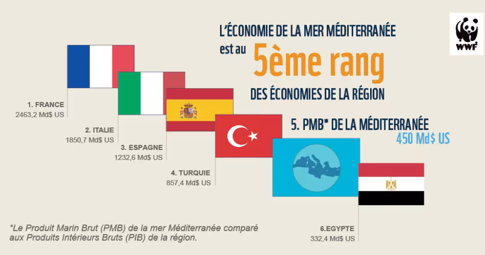 L'économie de la mer Méditerranée la place au 5ème rang de la région (PIB)