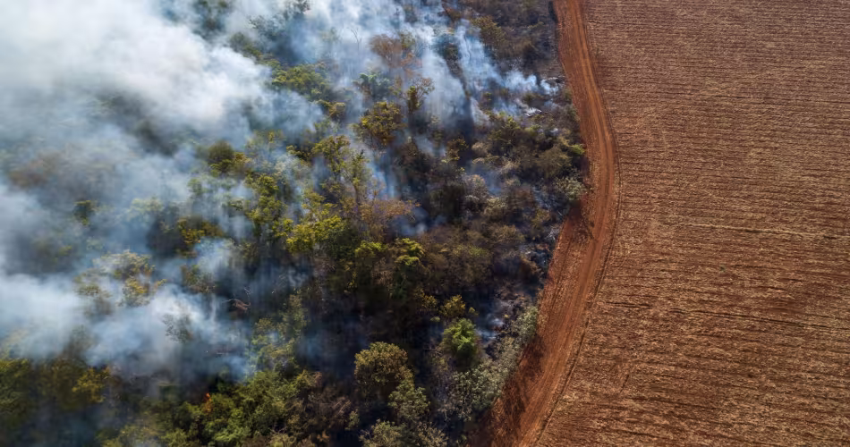 La forêt amazonienne en feux au Brésil.