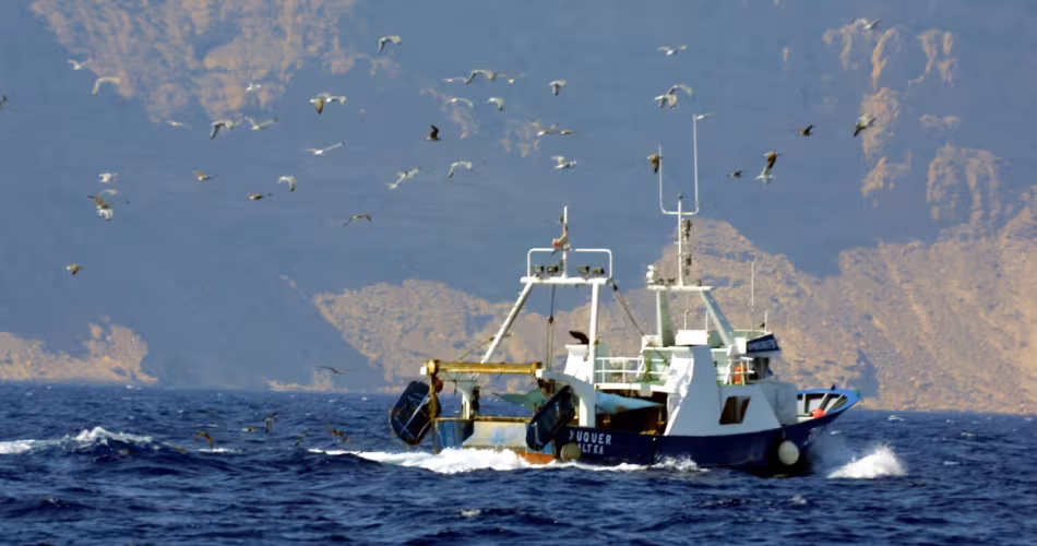 Chalutier aperçu dans l'Est de la mer Méditerranée
