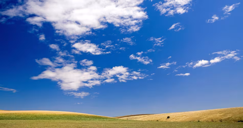 Paysage de champs agricoles en Bulgarie