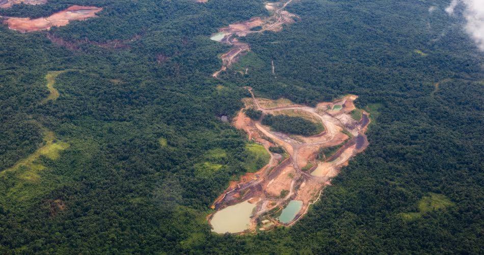 Vue aérienne de la déforestation dans le Kalimantan oriental (Indonésie)