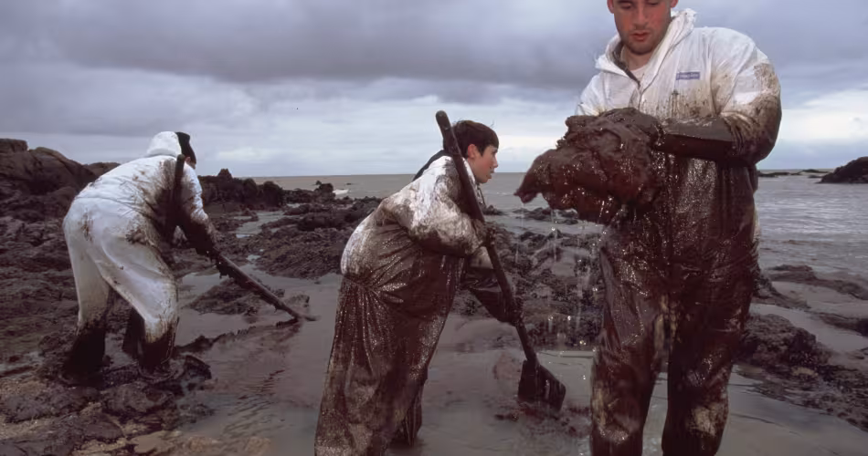 Des volontaires nettoyant les côtes bretonnes à la suite du naufrage de l'Erika