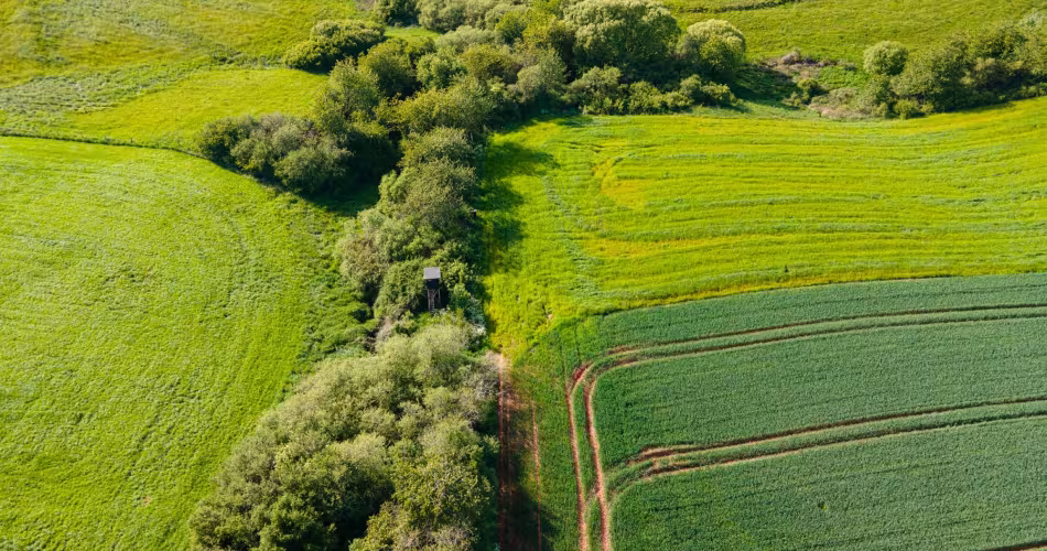 Campagne agroforesterie - Plantons des haies dans les champs