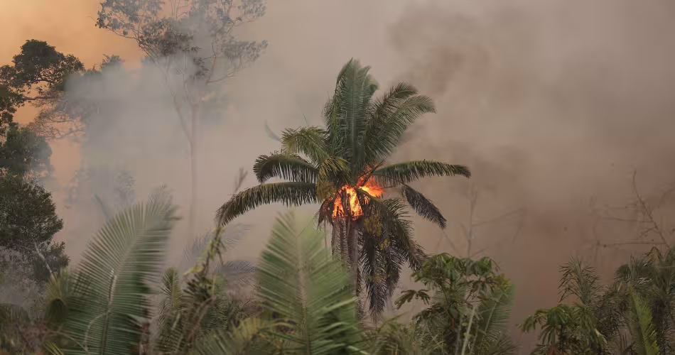Près de Porto Velho (Brésil), les feux issus de la déforestation ravagent la forêt amazonienne.