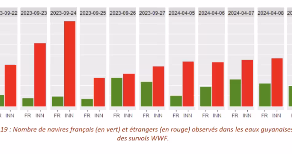 graphique pêche illégale