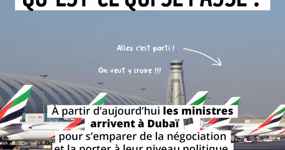 Carrousel COP 28 6