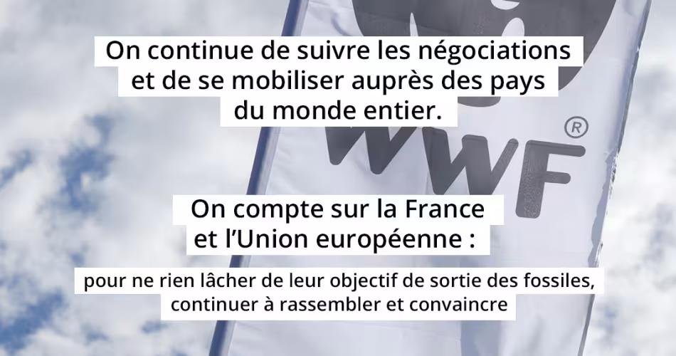 Carrousel COP 28 7