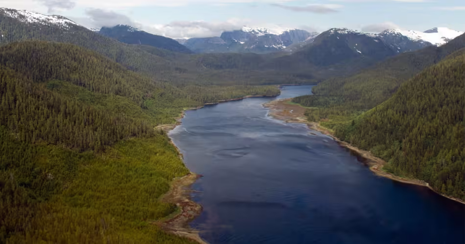 Vue aérienne de la Forêt pluviale de Great Bear en Colombie-Britannique.