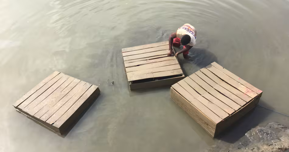 Homme en train de pêcher des crabes dans les eaux de Madagascar 