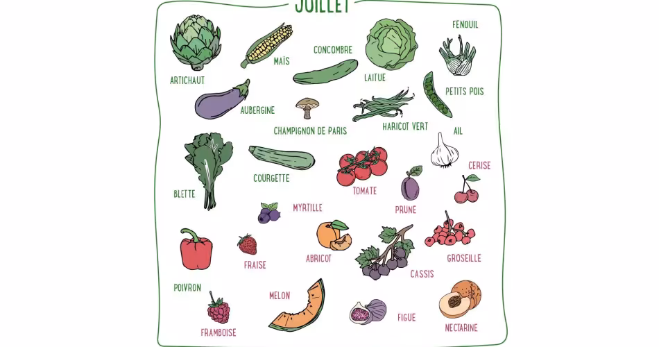 Mais, concombre, ail, poivrons, abricots, nectarines, figues... Découvrez les fruits & légumes du mois de juillet en France métropolitaine.