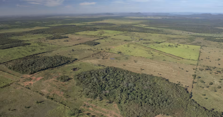 Déforestation dans la zone entre le Cerrado et le Pantanal, sud du Mato Grosso, Brésil