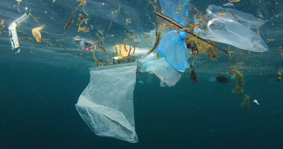 Plusieurs éléments d’origine plastique flottent dans l'océan