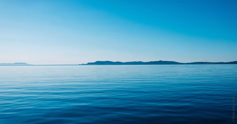 Mer Méditerranée - horizon bleue - cap cétacés 2019