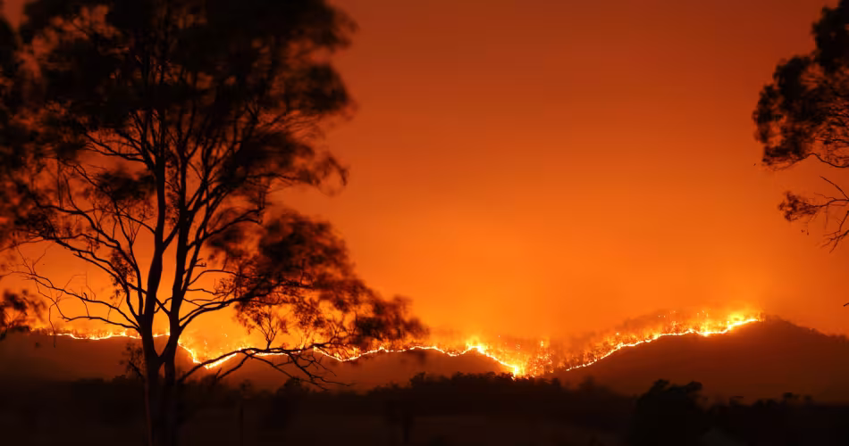 Un feux de forêt à Bowraville, Nouvelles-Galles du Sud, Australie