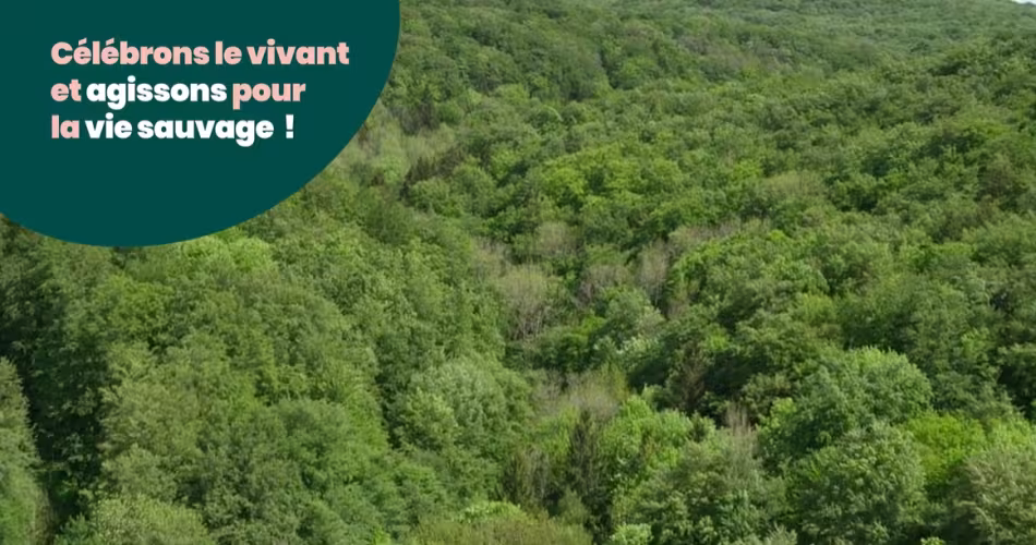 Cagnotte Leetchi 50 ans