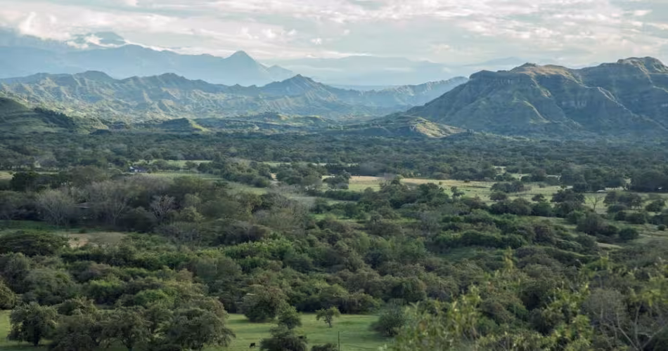 Serranía de Manacacías - Colombie