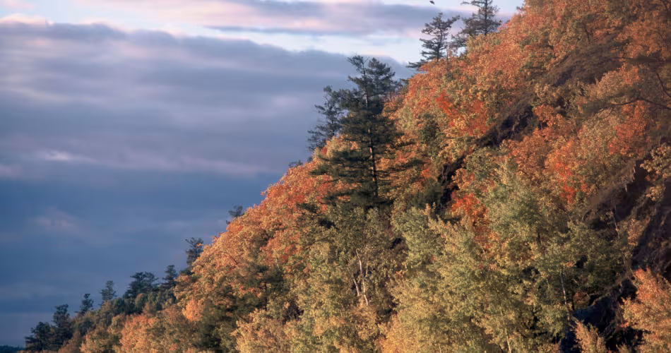 Vue semi-aérienne de la cordillère Sikhote-Aline où les arbres sont de la couleur de l'automne. (Sibérie)