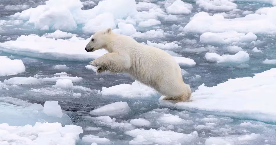 Comprendre les causes et conséquences de la fonte des glaces