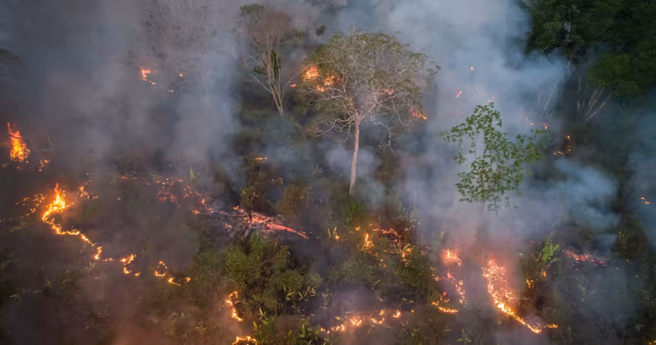 Amazonie en feu