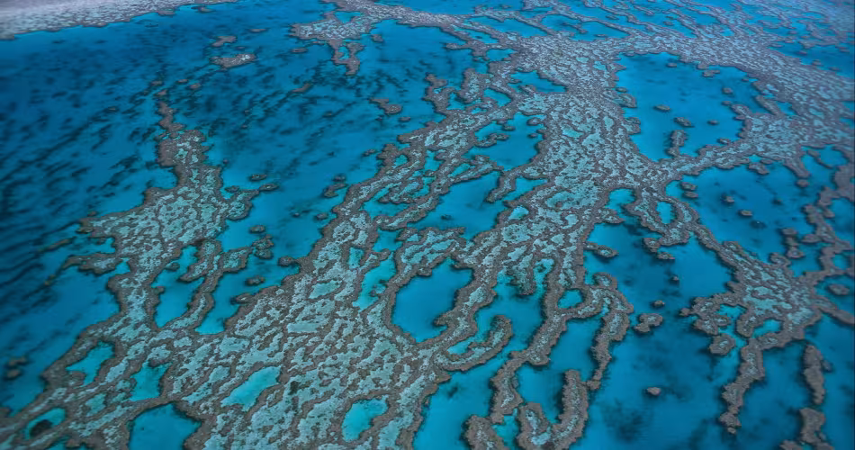 Grande barrière de corail vue du ciel, Australie