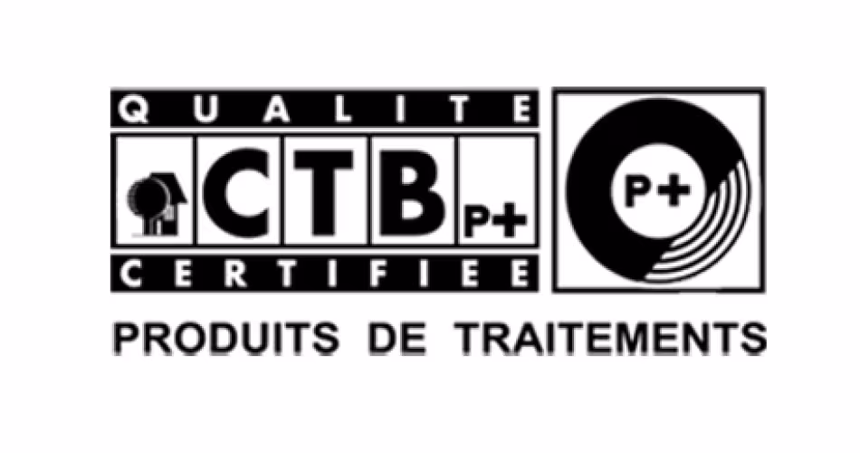 Logo CTB p+
