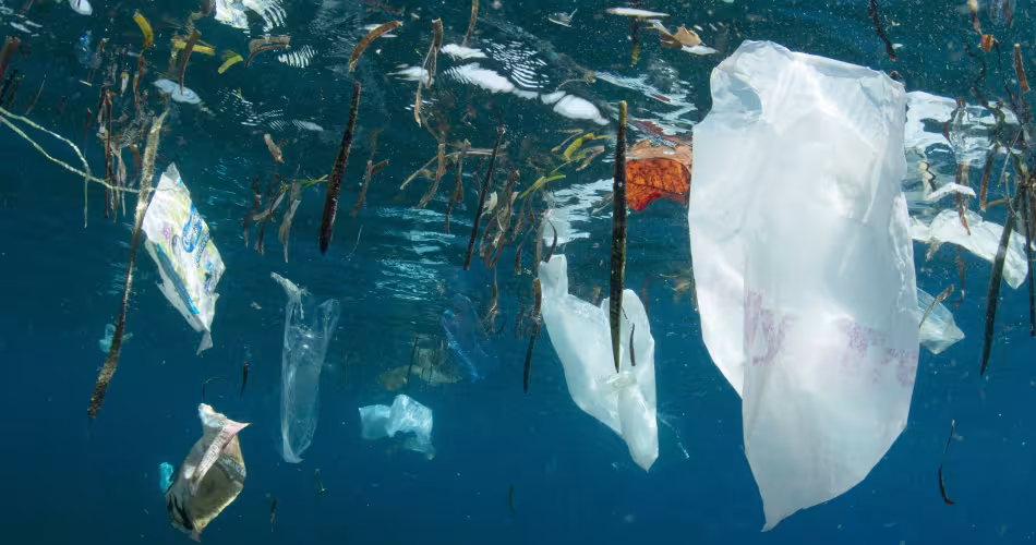 Du plastique dans l'océan