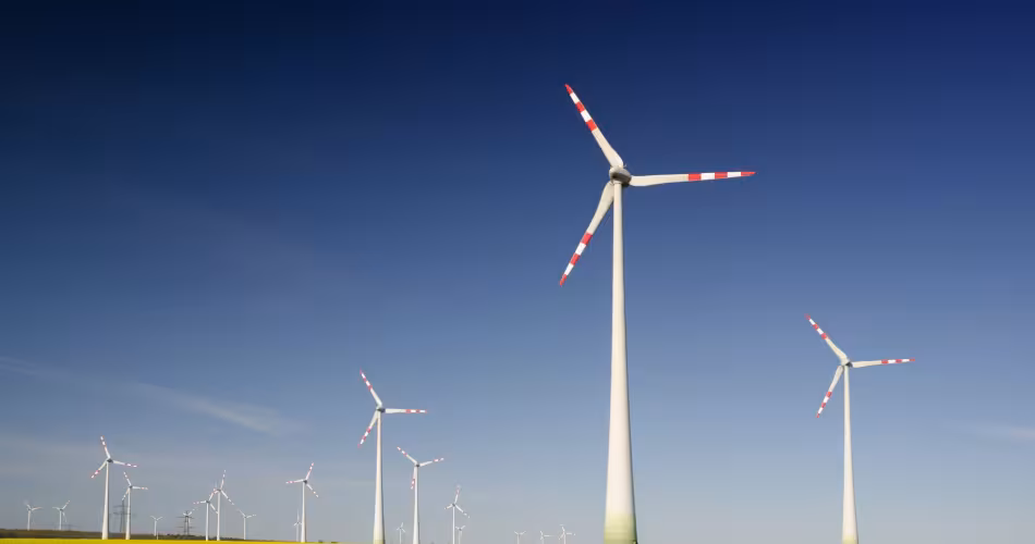 Un champ d'éolienne