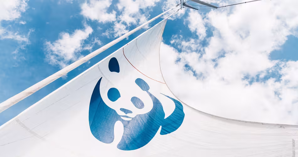 Le Blue Panda : notre voilier pour préserver la Méditerranée