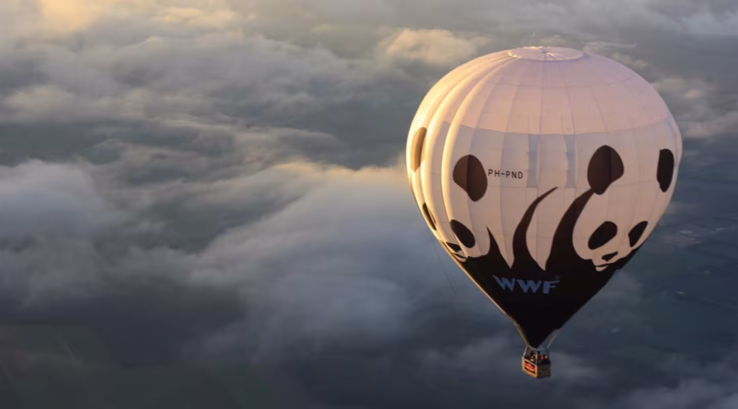 Montgolfière WWF