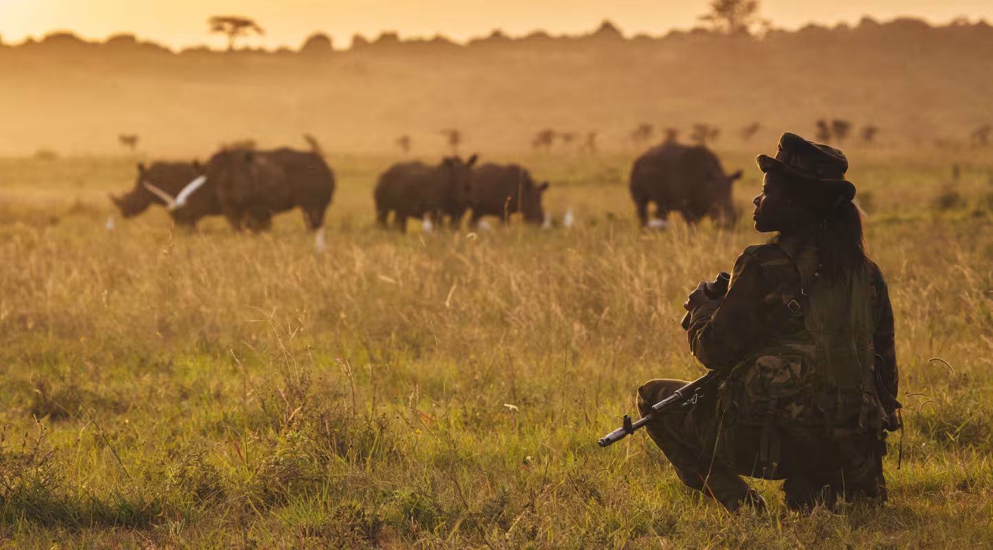 Doreen Adongo, garde forestière du Kenya Wildlife Service au parc national de Nairobi, surveille un rhinocéros blanc (Ceratotherium simum) au crépuscule. Parc national de Nairobi, Kenya.
